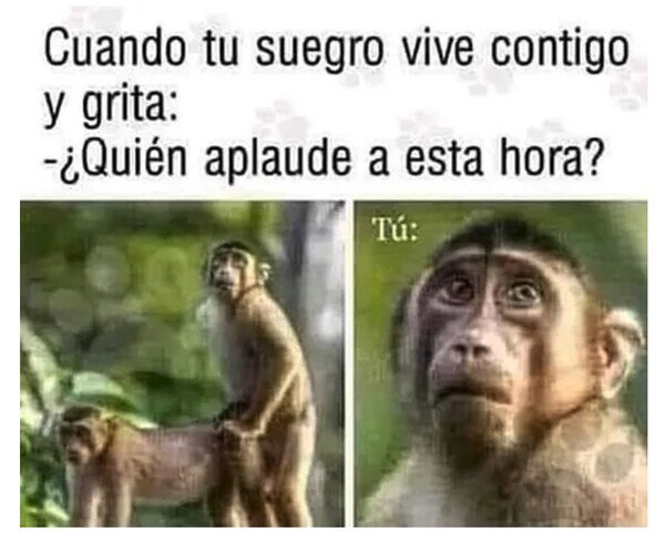 Meme_otros - Sí, aplaudiendo...