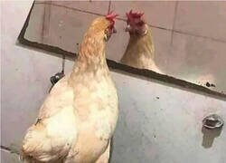 Enlace a A veces uno necesita automotivarse