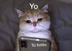 Enlace a Mi estado actual