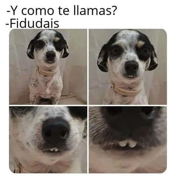 Meme_otros - Sin duda, hablaría así