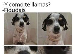 Enlace a Sin duda, hablaría así