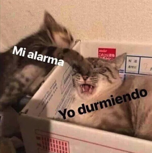 Meme_otros - El golpe es terrible