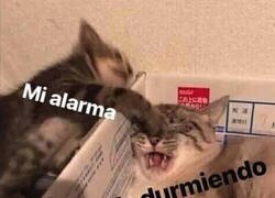 Enlace a El golpe es terrible