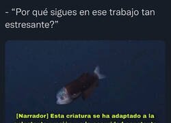 Enlace a Adaptarse o morir