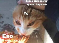 Enlace a Sí, lo hice