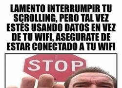 Enlace a Gracias Arnold