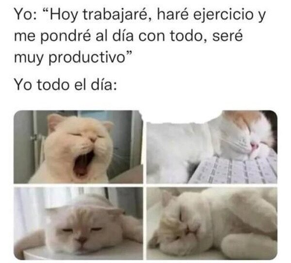 Meme_otros - Ah, pues al final no xD