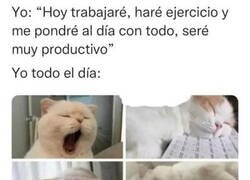 Enlace a Ah, pues al final no xD