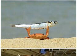 Enlace a La realidad supera la ficción