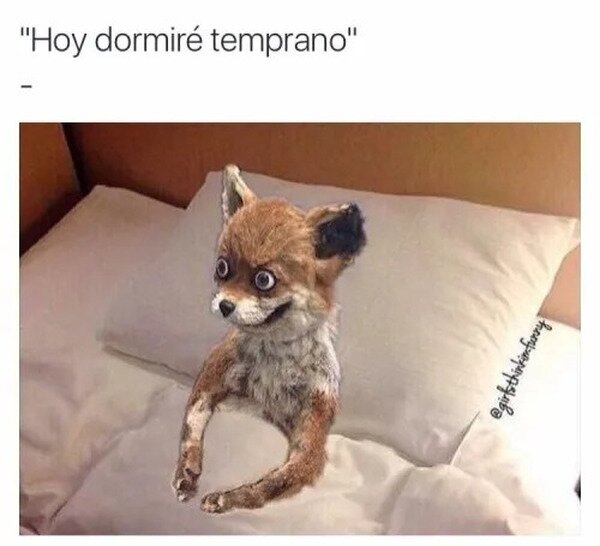 Meme_otros - Nunca acaba pasando