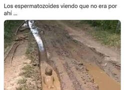 Enlace a Camino equivocado