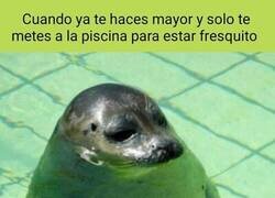 Enlace a Otro verano más