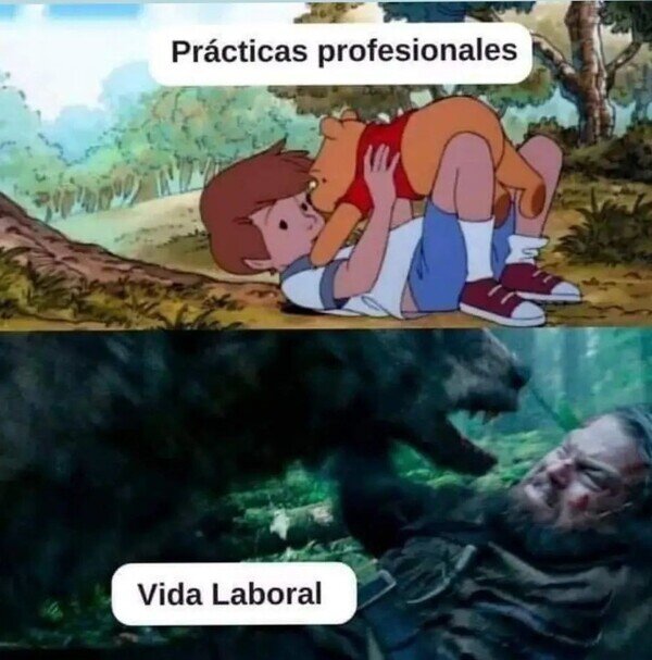 Meme_otros - No tiene nada que ver