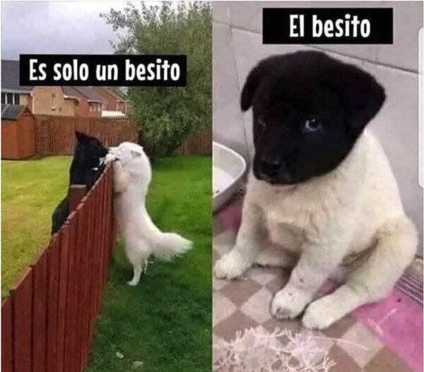 Otros - Aquí ha habido algo más