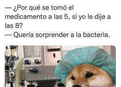 Enlace a Cuando me creo con conocimientos médicos