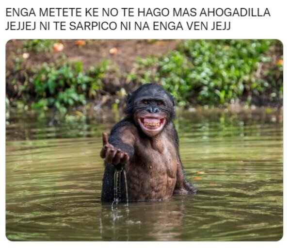 Otros - Mi tío el gracioso en verano