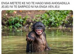 Enlace a Mi tío el gracioso en verano