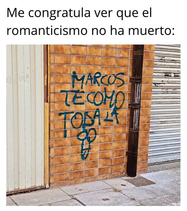 Meme_otros - Acción poética