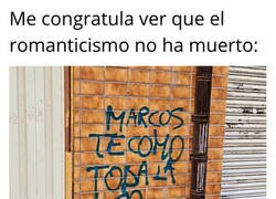 Enlace a Acción poética