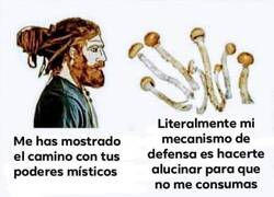 Enlace a Humano plis...