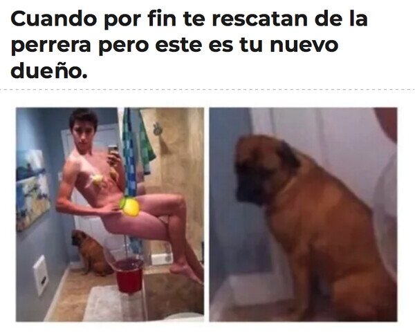 Otros - El humano que te ha tocado