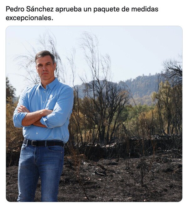 Otros - El paquete de Pedro Sánchez