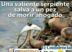 Enlace a Y faltan muchos ahí