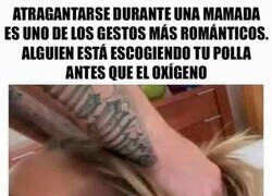 Enlace a Visto así...