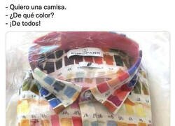 Enlace a Camisa de pantones