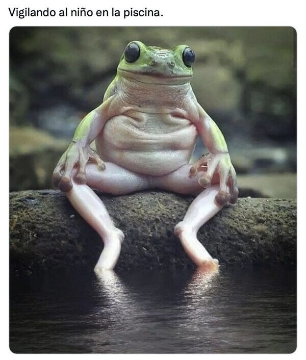 Meme_otros - Que haga la digestión