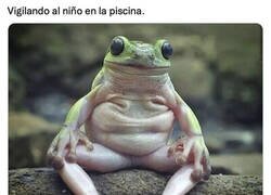 Enlace a Que haga la digestión