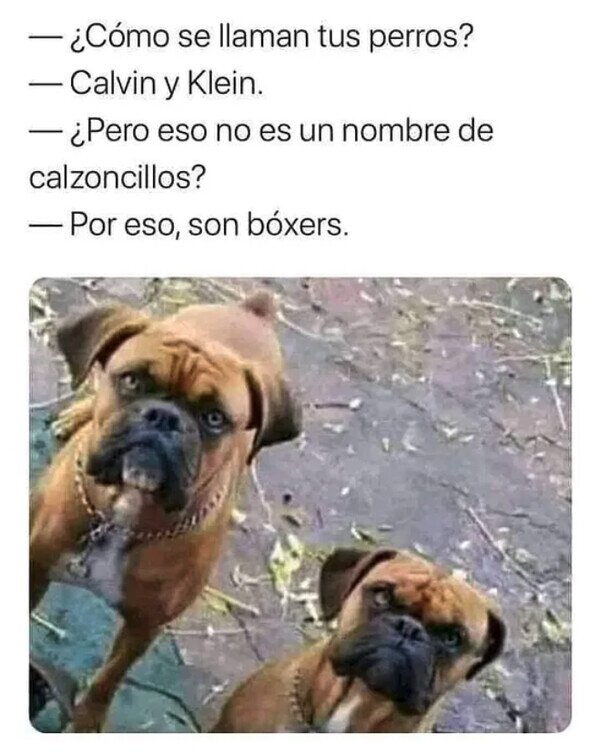 Meme_otros - Mis bóxers