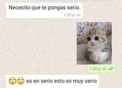 Enlace a Seriedad absoluta