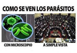 Enlace a Observando parásitos