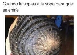 Enlace a Eso mismo debió decirle al peluquero