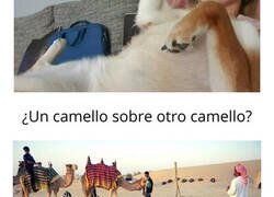 Enlace a Imágenes que tendrás que ver dos veces para entenderlas