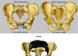 Enlace a La tontería del día