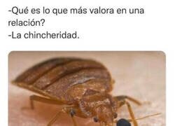 Enlace a Lo que más valora una chinche