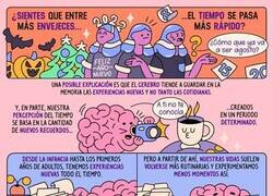 Enlace a ¿Por qué el tiempo pasa a toda velocidad?