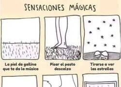 Enlace a Sensaciones mágicas