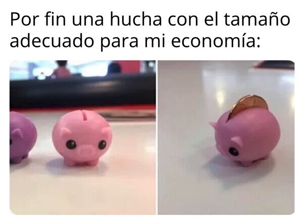 Otros - ¡Está hecha para mí!