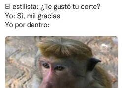 Enlace a Me espero a salir