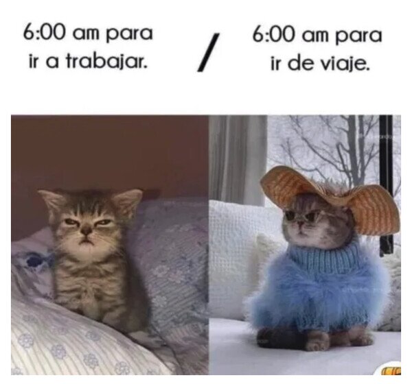 Otros - Mi problema no es madrugar