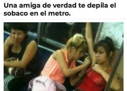 Enlace a La verdadera amistad