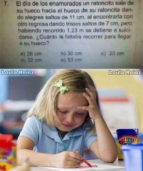 Meme_otros - El problema matemático que emocionó al mundo