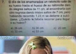 Enlace a El problema matemático que emocionó al mundo