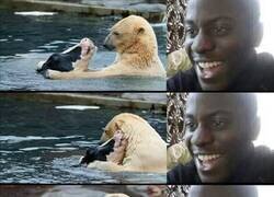 Enlace a Parecía todo muy bonito...