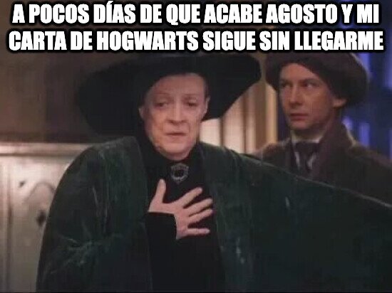 Meme_otros - Otro año más sin ir a Hogwarts