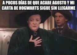Enlace a Otro año más sin ir a Hogwarts