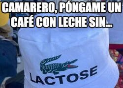 Enlace a Gorra directamente sacada del top manta